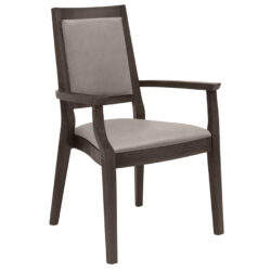 H-DAL Stacking Arm Chair