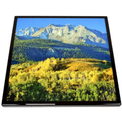 Customer's Image Digitally Printed on 1'' Thick Melamine with Stained Maple Edge