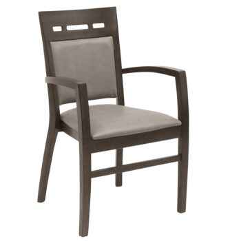 H-SSX Arm Chair